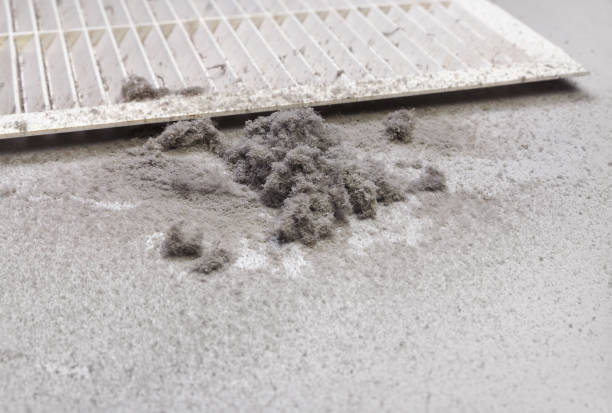 Best Local Air Duct Cleaning Services  in , NM