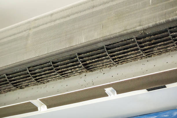 Best HVAC System Cleaning  in , NM